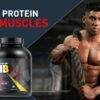 MUSCLEBLAZE Super XXL, For Muscle Weight Gainers/Mass Gainers  (500 g, Chocolate) - Image 5
