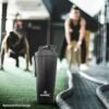 High-Calorie Mass Gainer / Durable Shaker Bottle / Quick-Dry Towel - Image 4